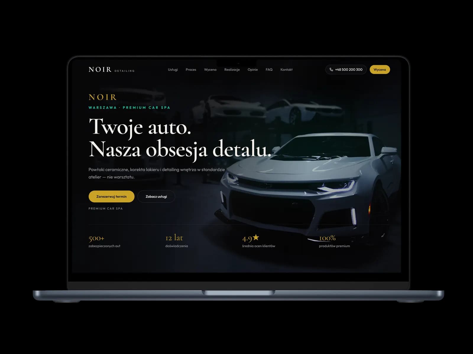 Podgląd szablonu Auto detailing